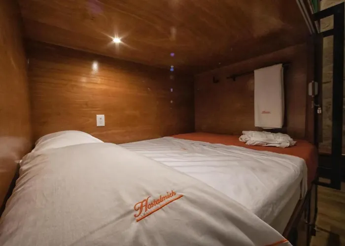 Oyo Hostal Mich